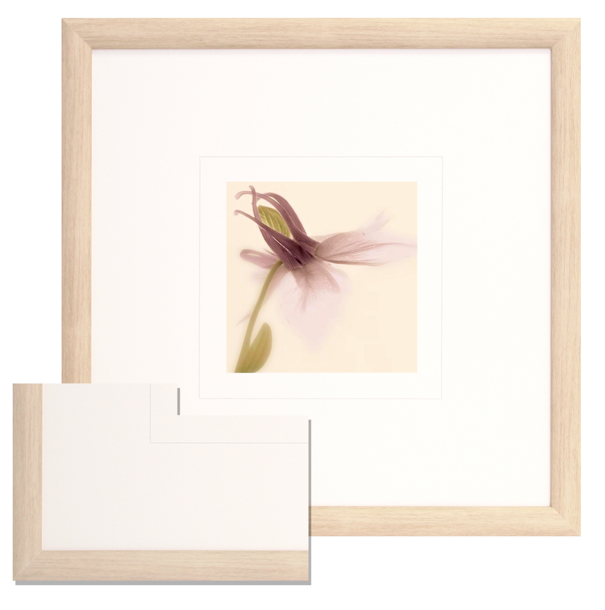 FP173 Wall décor art framed print floral light wood frame
